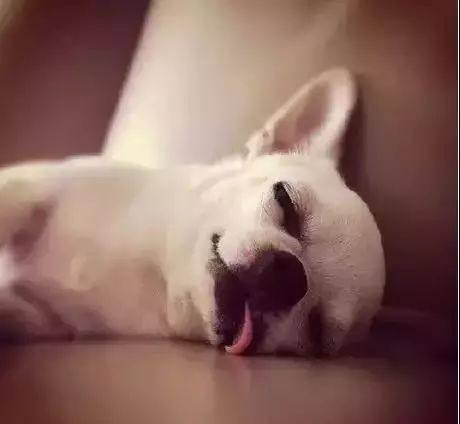 深圳激光打標(biāo)機民升激光開工了