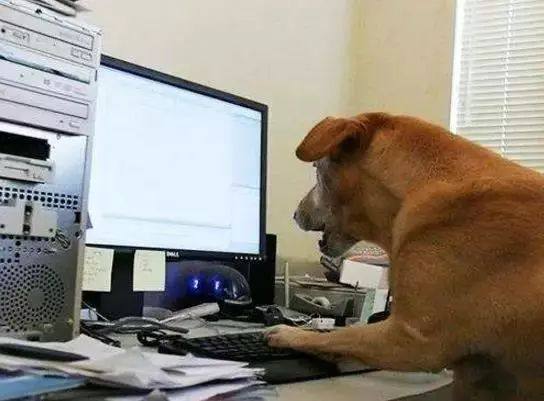 深圳激光打標(biāo)機民升激光開工了